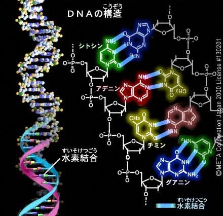 DNA.jpg