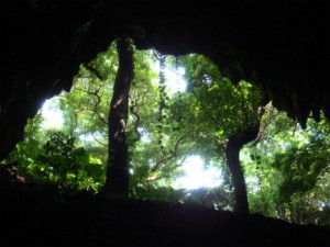 サキタリ洞遺跡